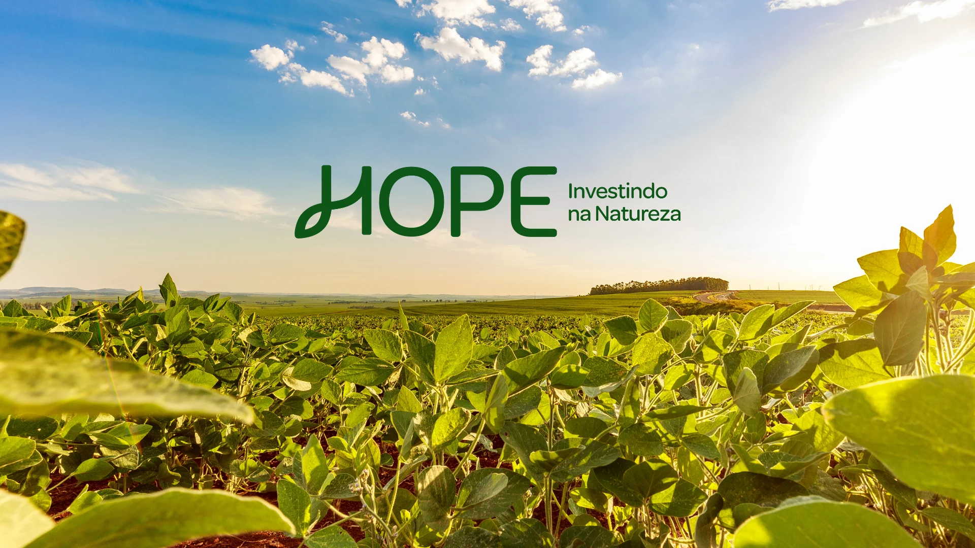 Case Hope – Estratégia de marca pelo Estúdio Giô Brand
