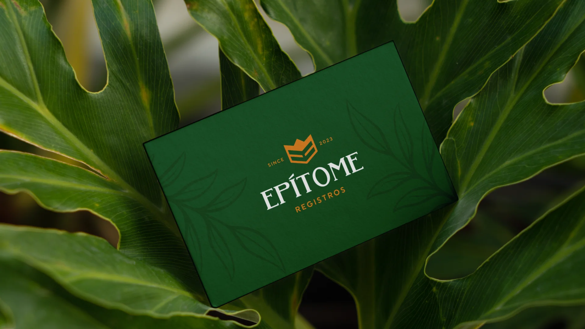 Case Epitome – Estratégia de marca pelo Estúdio Giô Brand