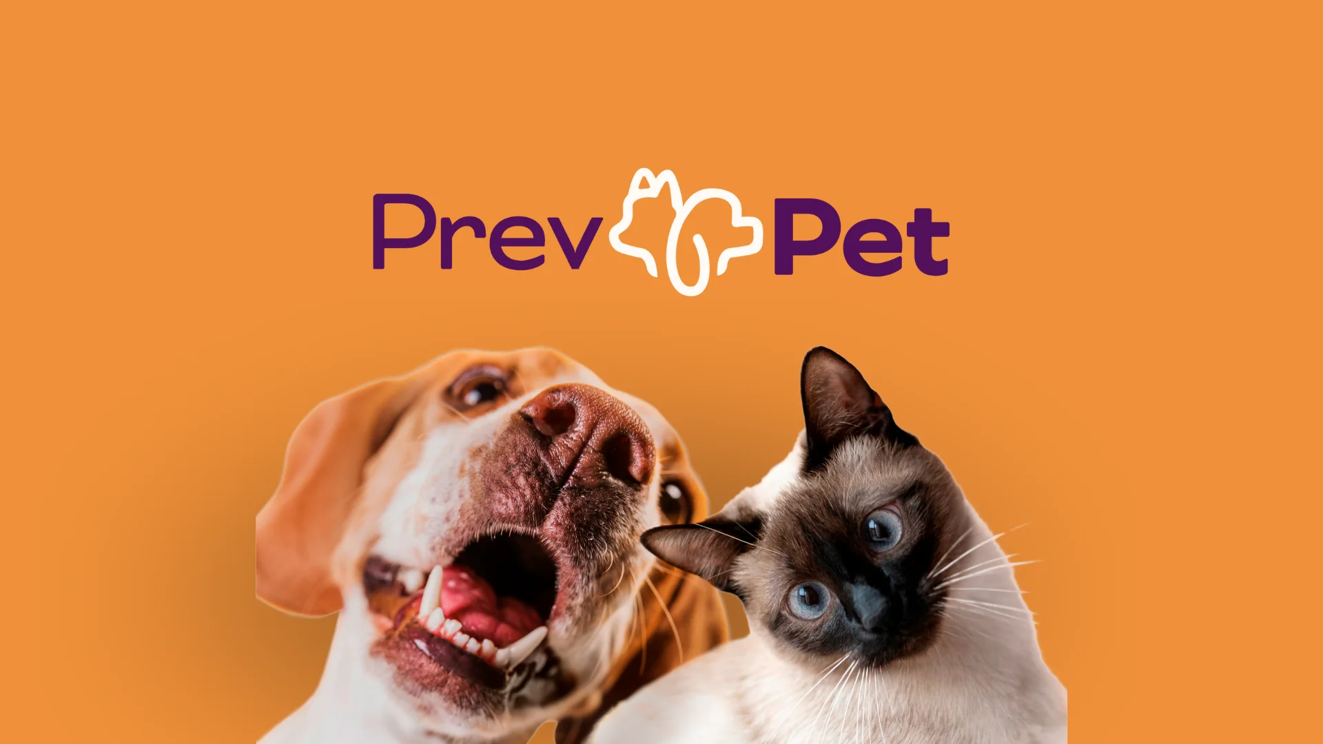 Case prevpet – Estratégia de marca pelo Estúdio Giô Brand